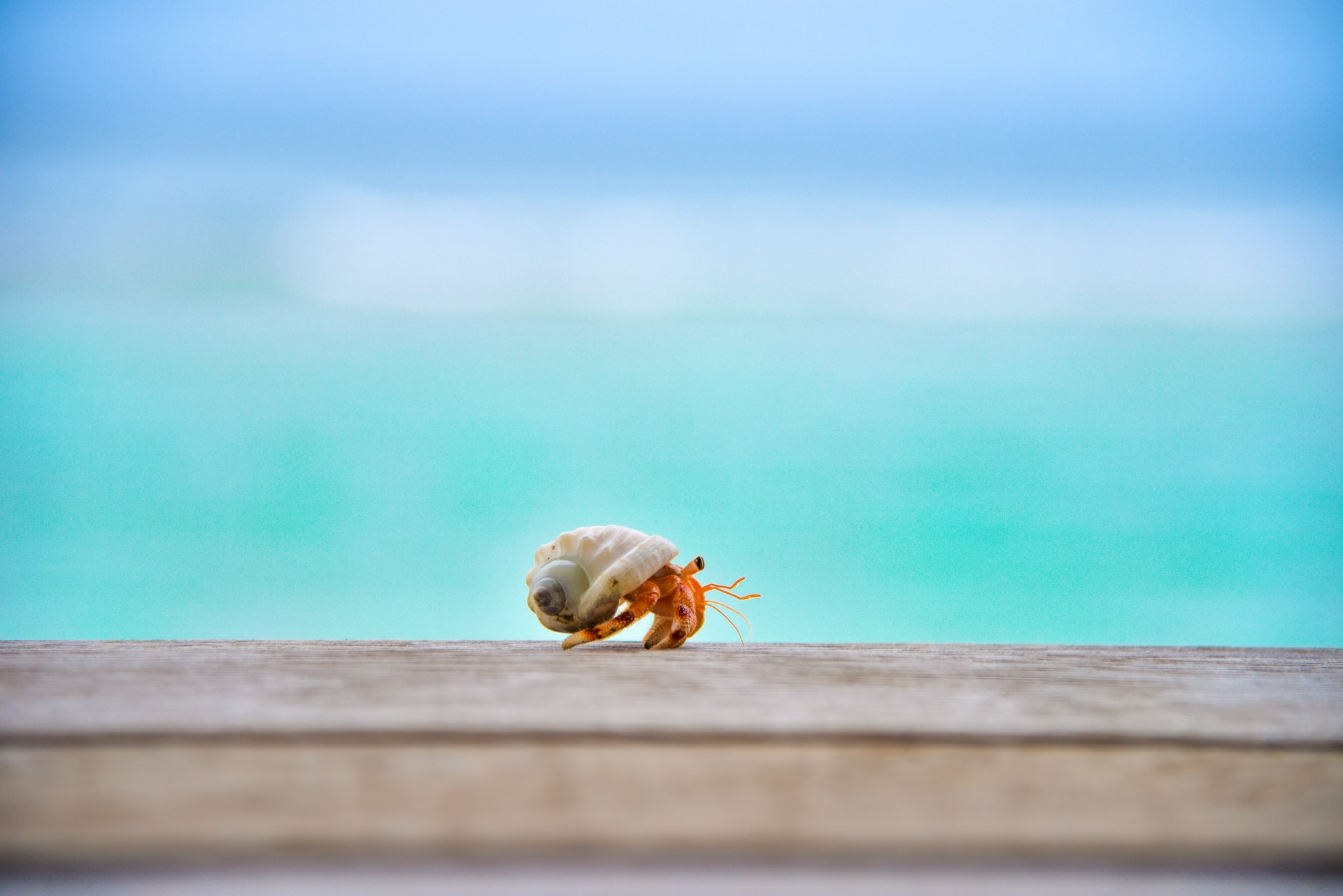 ahmed-sobah-unsplash