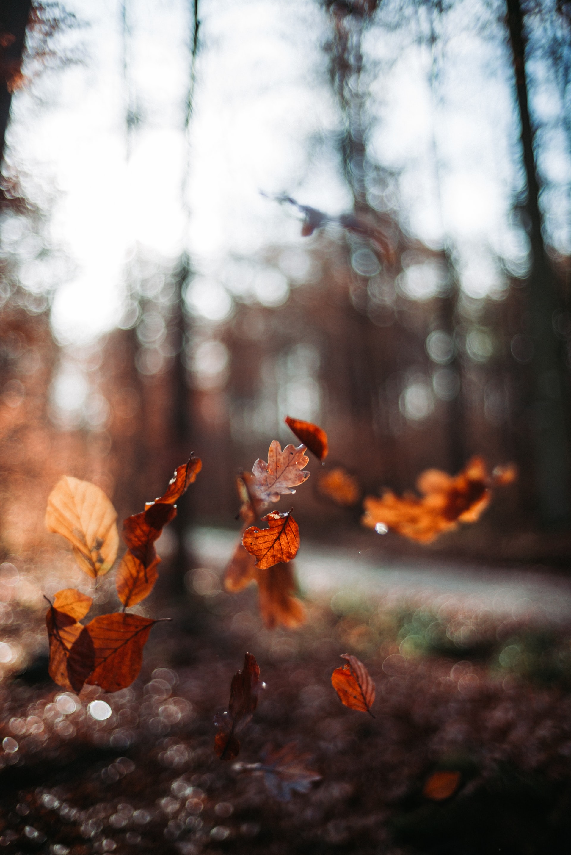 oliver-hihn-unsplash